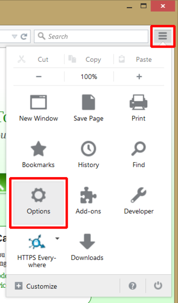 Файл:TorBrowser 20.png
