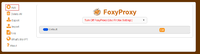 FoxyProxy_Add.png