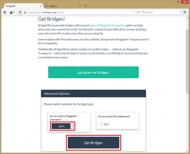 Файл:TorBrowser bridges 04.png